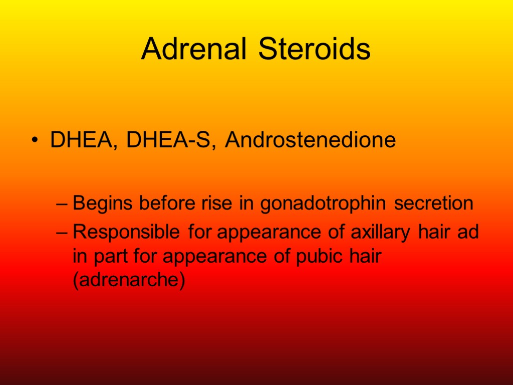 Adrenal Steroids DHEA, DHEA-S, Androstenedione Begins before rise in gonadotrophin secretion Responsible for appearance